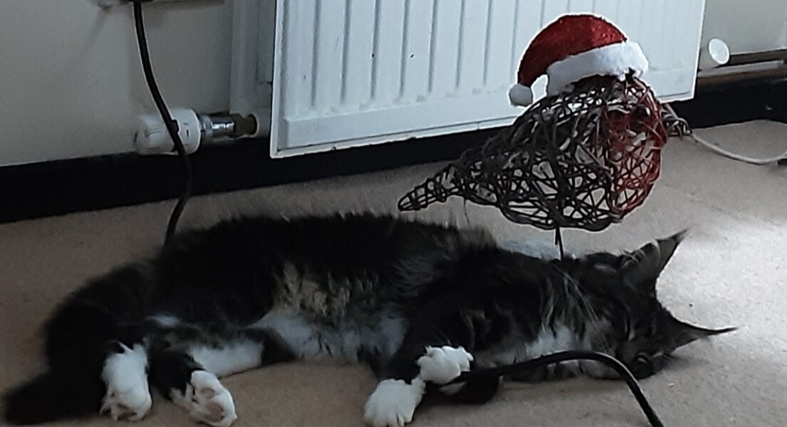 Come and tell me your dull and unexciting news 22: Calmly through the day