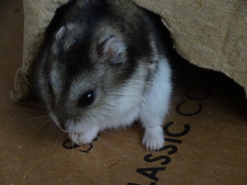 Current Year 11 - 2 more weeks of exams!!