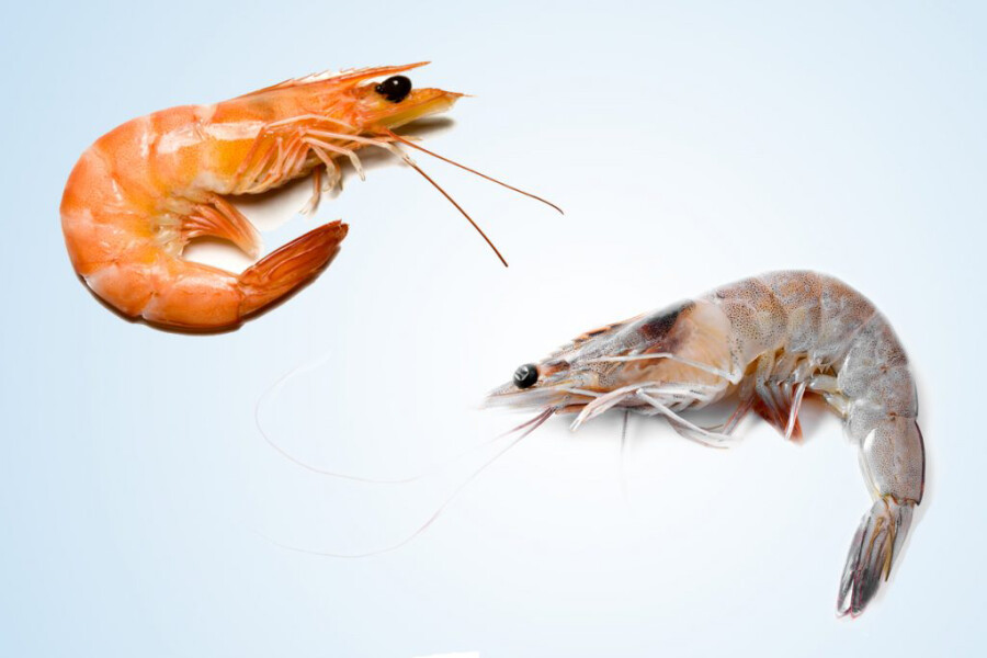 Prawns/king prawns - help me understand please?