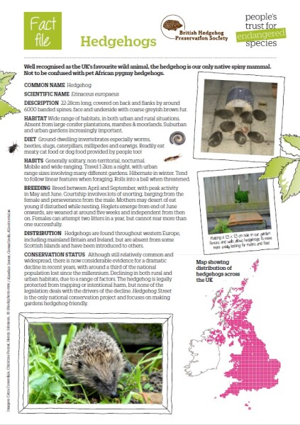 To ask you to please help hedgehogs and other wildlife prepare for winter