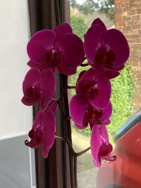 Show Us Your Pictures 6