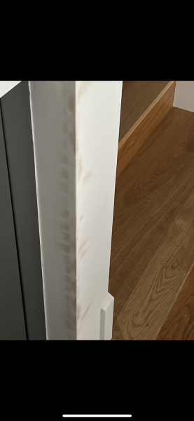 Is this mold? Pic attached
