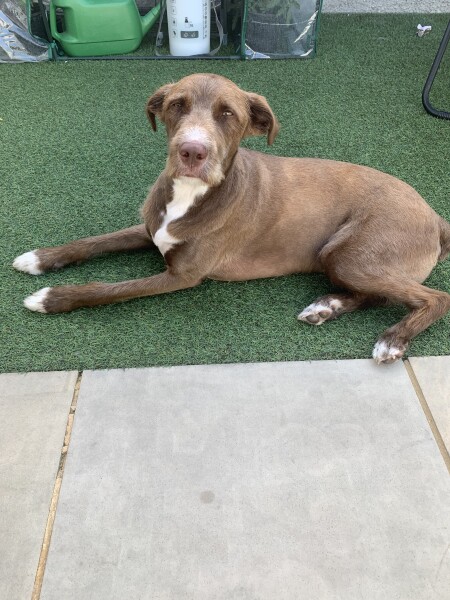 We have a phone appointment with an overseas rescue :)