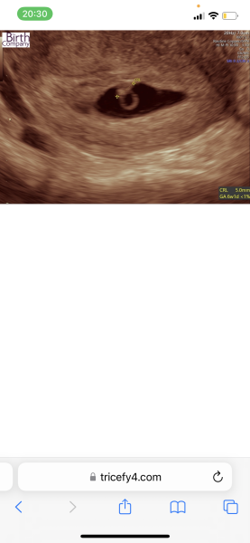 Due Jan 2023