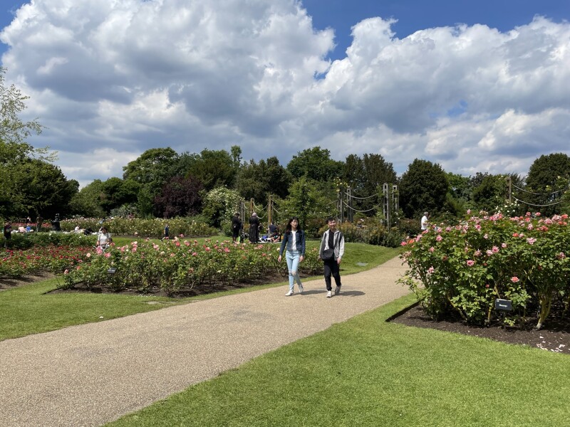 Come and tell me your dull and unexciting news 22: Calmly through the day