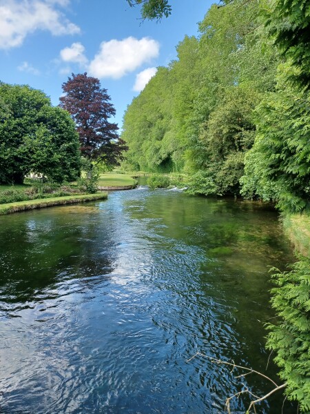 Come chat hiking with me!