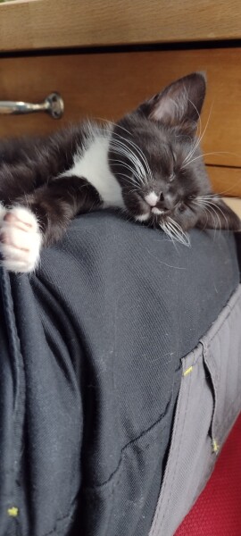 To a life well spent – RIP Cap'n V