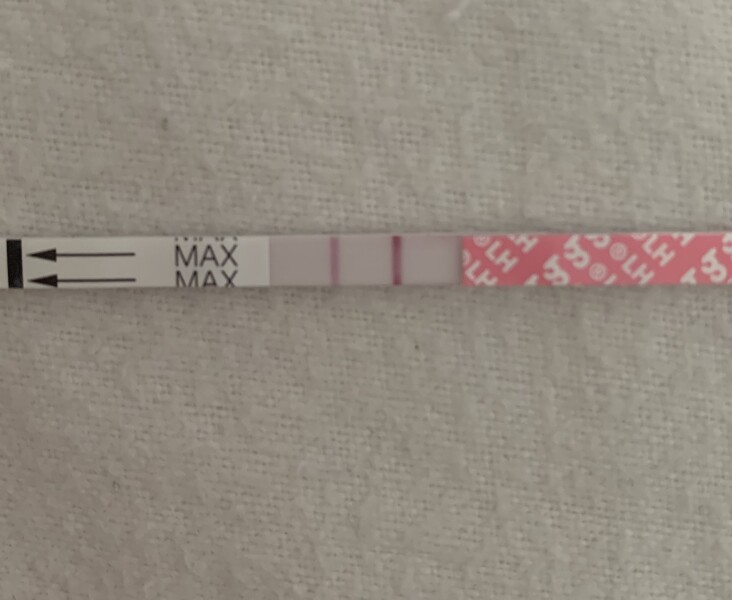 Ovulation 