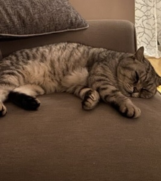 Current Year 11 - 2 more weeks of exams!!