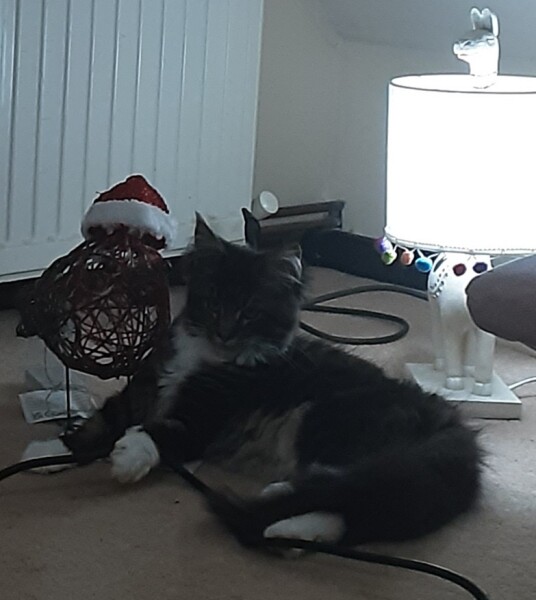 Come and tell me your dull and unexciting news 22: Calmly through the day