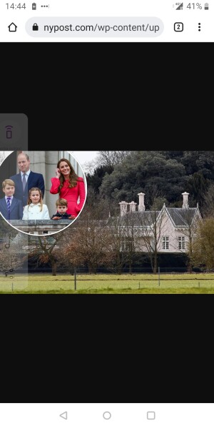 Andrew returning to public life