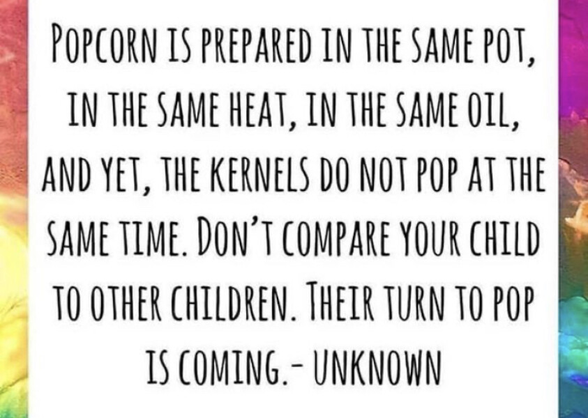 Incredibly worried about 15 month olds development