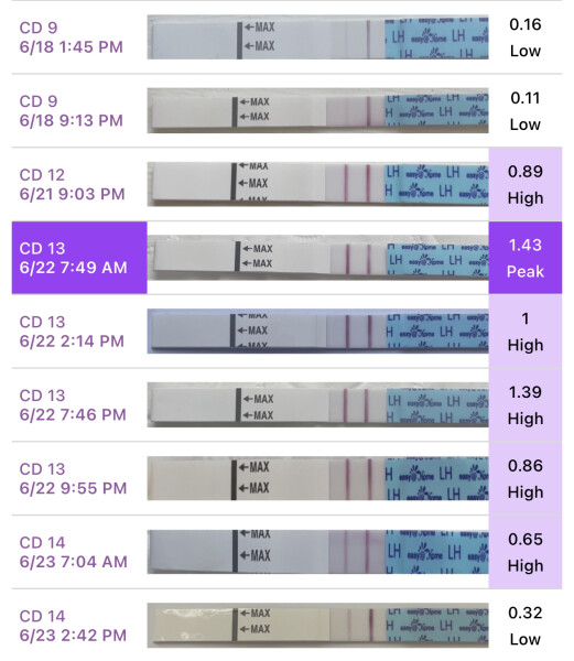 1DPO TWW.... want to hang out?