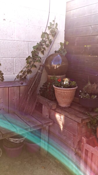 Any Witches Here? Part 16