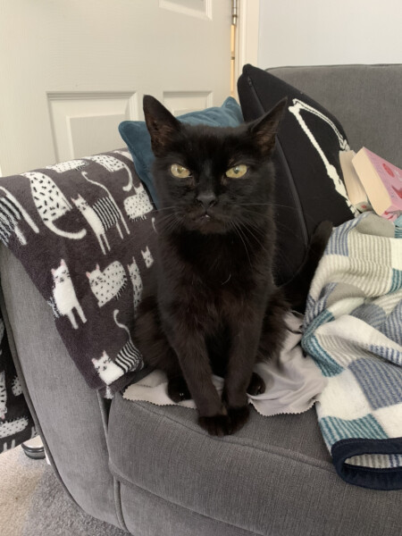To a life well spent – RIP Cap'n V