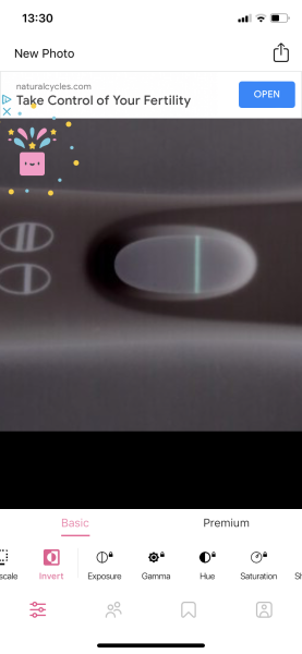 FRER 10/11 DPO Line eyes (squinters!) 