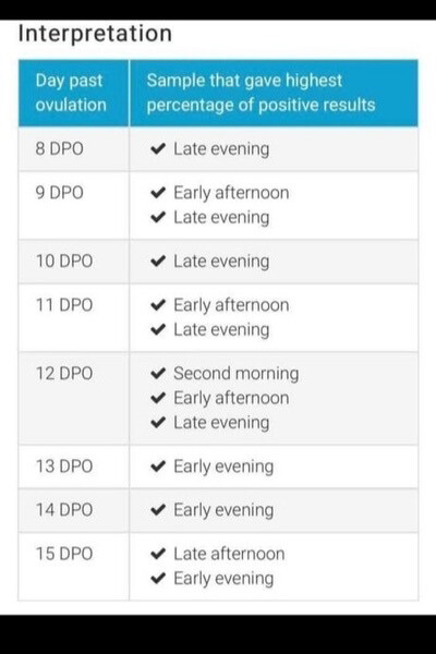 First timers, TTC. Safe space for brain dumps...