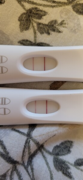 Due February 2023 ❤️💙💛💖