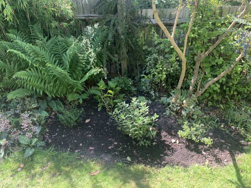 Should I cover the soil between plants?