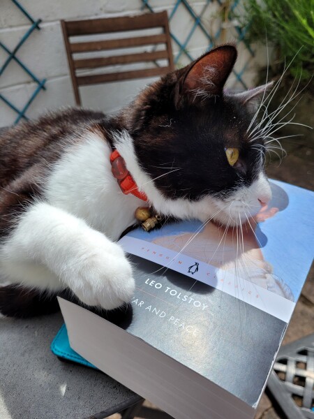 War and Peace Readalong thread 2022 - thread 2