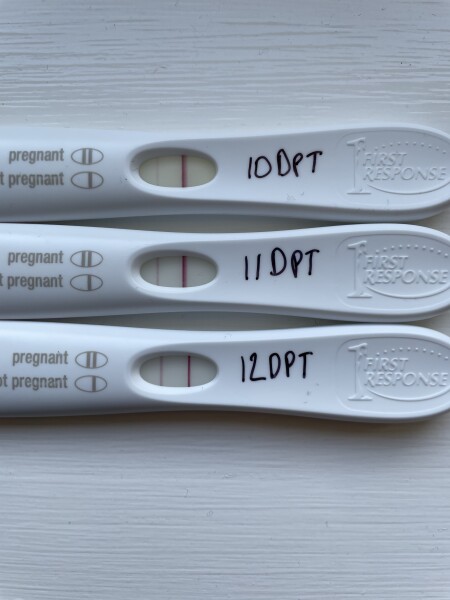 IVF/FET May/June 2022