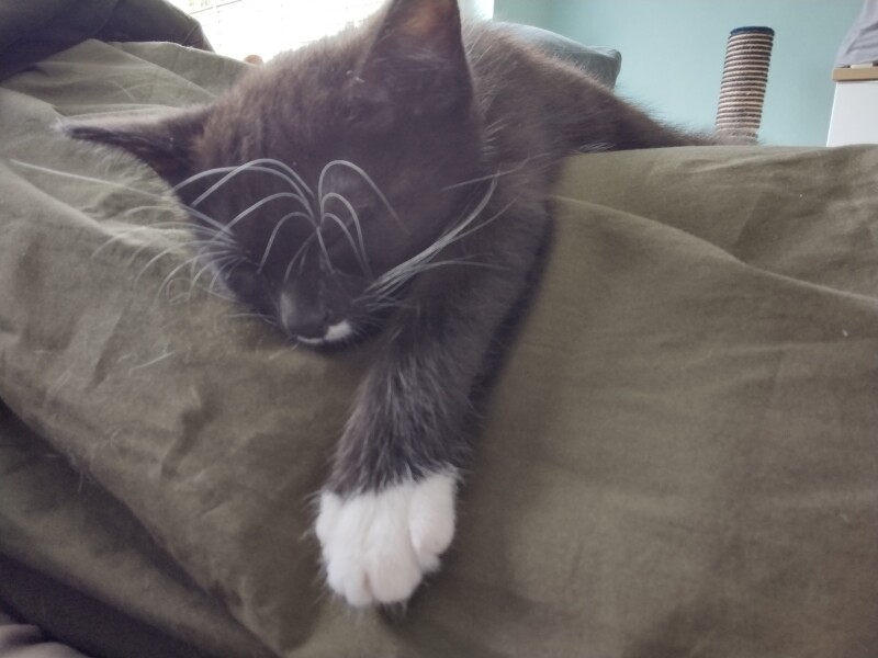 To a life well spent – RIP Cap'n V