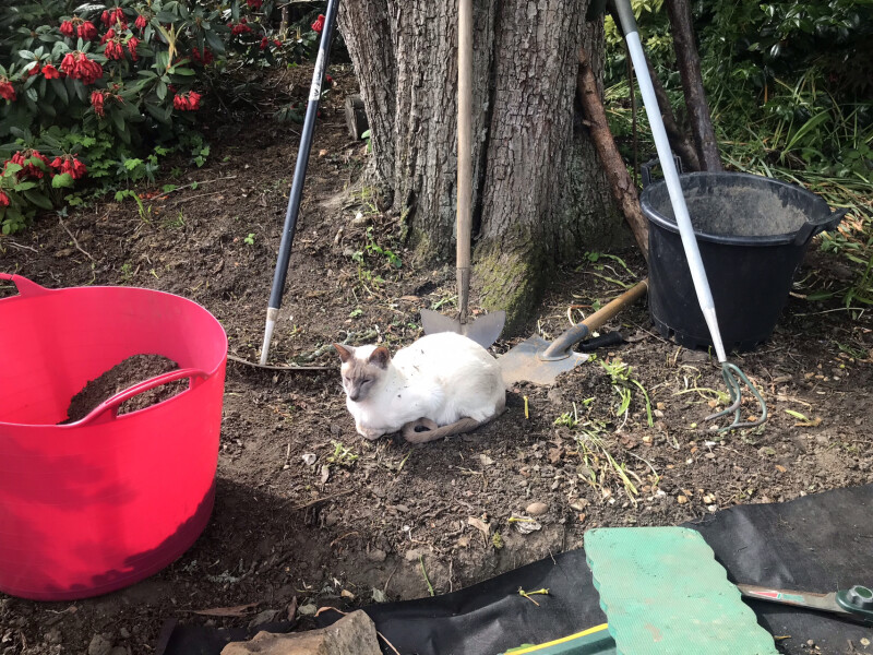 Brexit mega thread part 8: platinum jubilee edition 