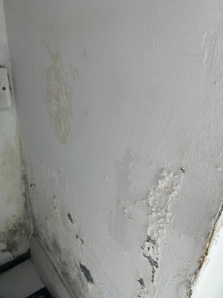 Can anyone help diagnose our damp/leak?