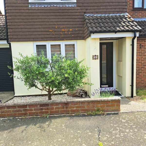 Help with paint shade please? 