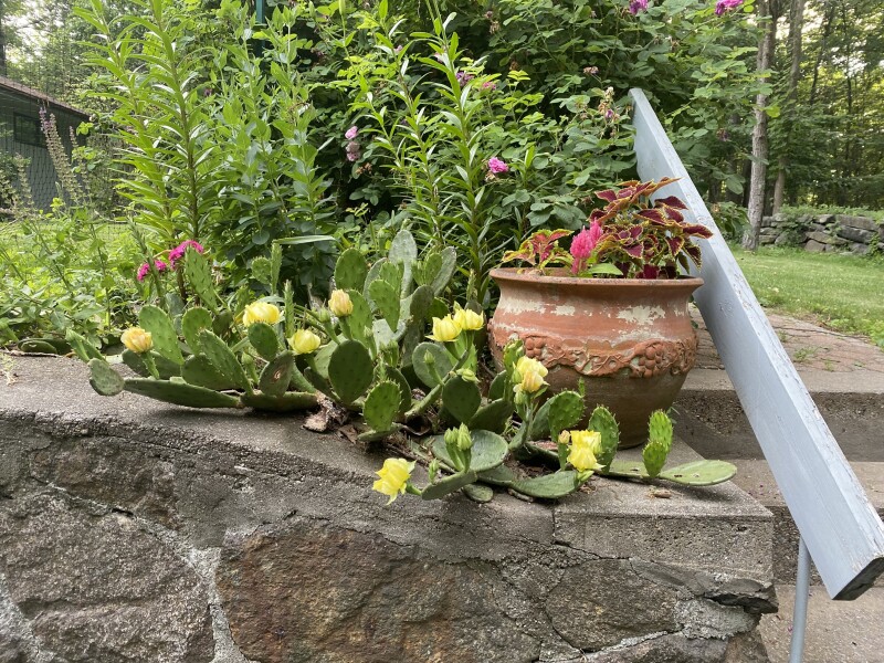 Come and tell me your dull and unexciting news 22: Calmly through the day