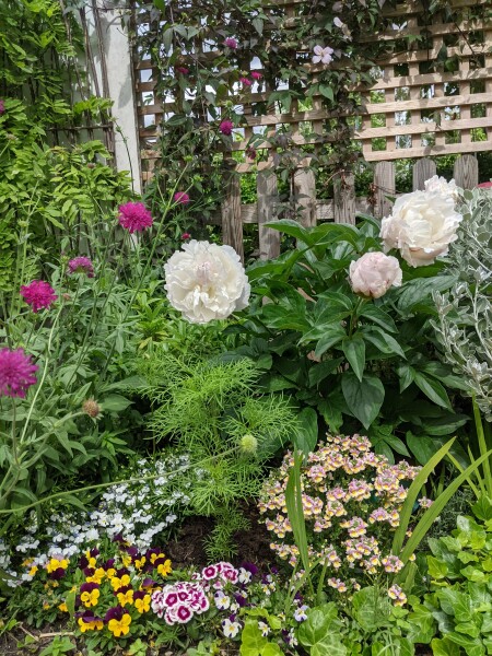 *PICS* Complete novice with a blank slate garden