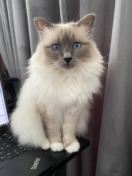 What is she thinking?
