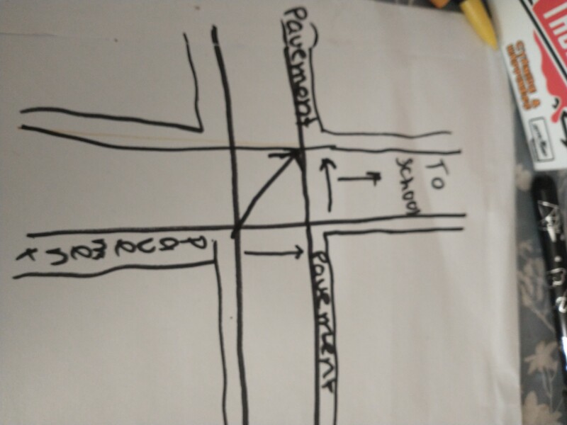 Were we wrong to cross the road in this way?
