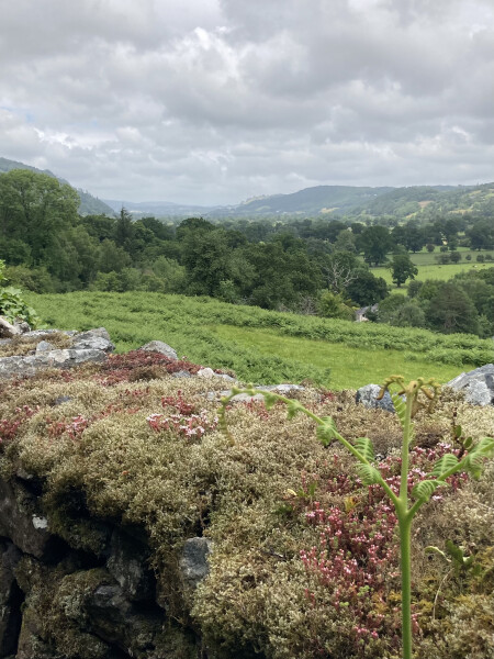 Come chat hiking with me!