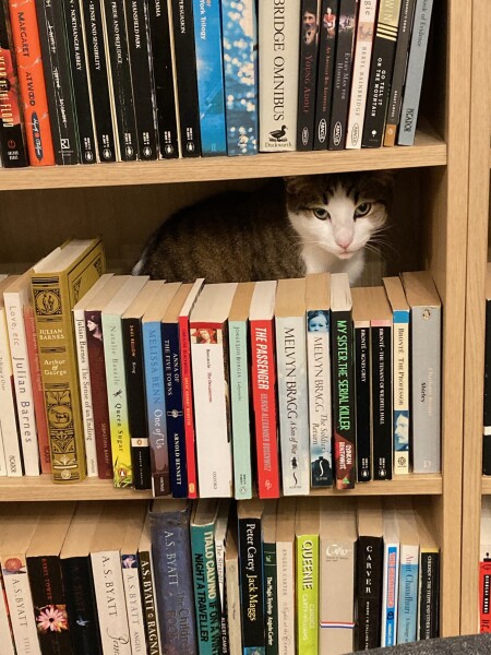 War and Peace Readalong thread 2022 - thread 2