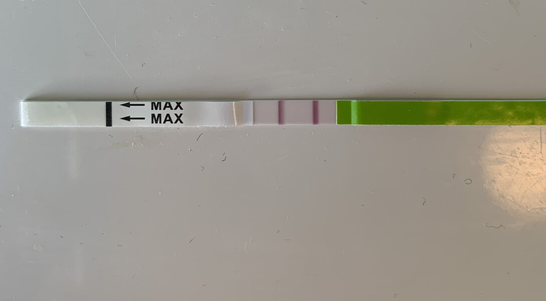 Ovulation 
