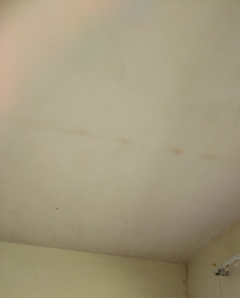 How to clean mold out of a ceiling