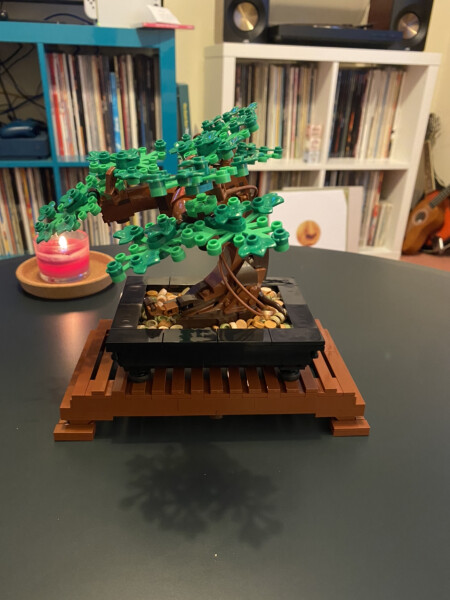 MsLatté’s Daebak Cybercafé (Kdrama addicts #33): So much good content airing just now our Filthy Noonas’ hearts are fit to burst like squashed frogs on a country road