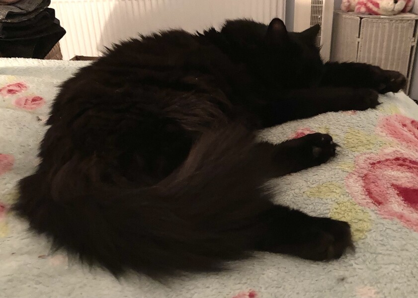 To a life well spent – RIP Cap'n V