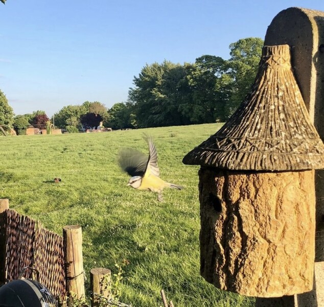 Any Witches Here? Part 16