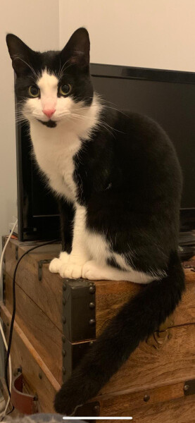 To a life well spent – RIP Cap'n V