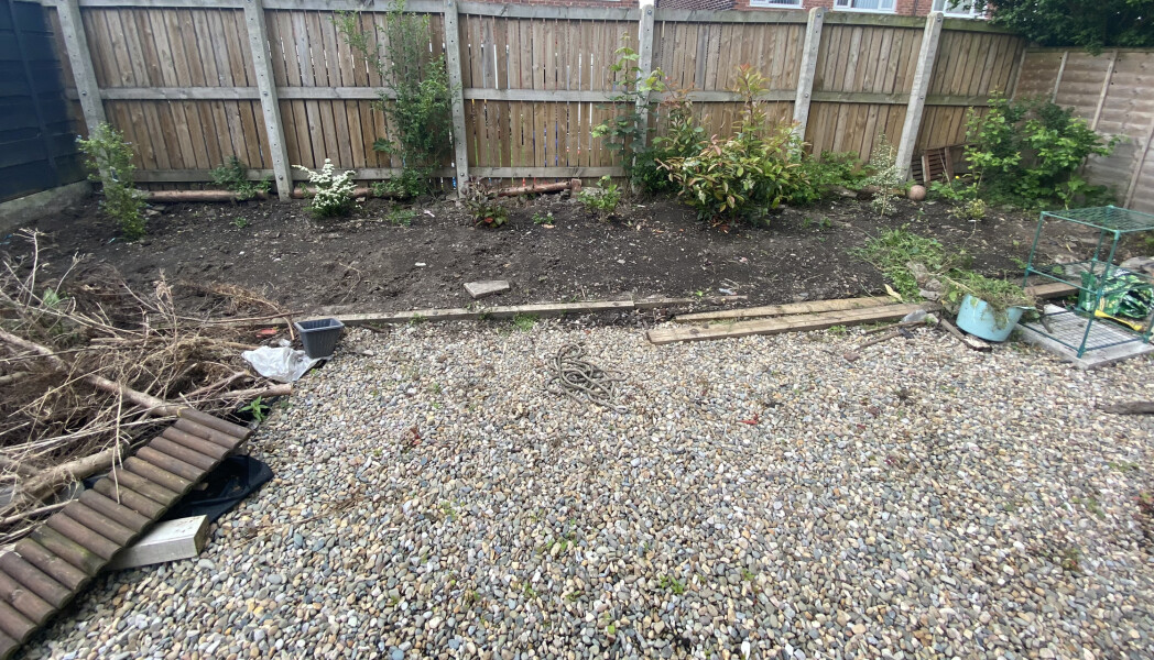 Awful weeds following garden renovation (pics included)