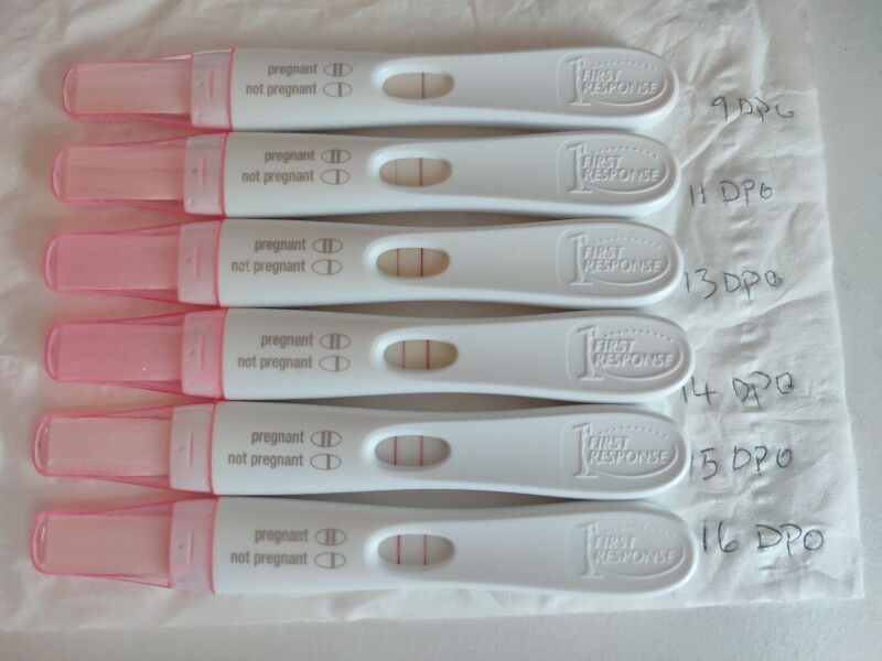 Due February 2023 ❤️💙💛💖