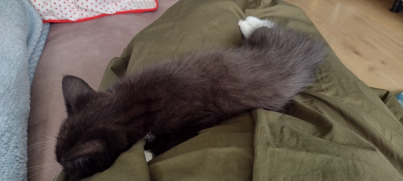 To a life well spent – RIP Cap'n V