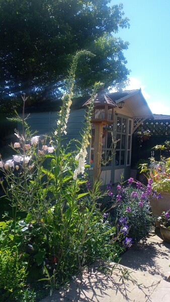 Best colour for a Summer House