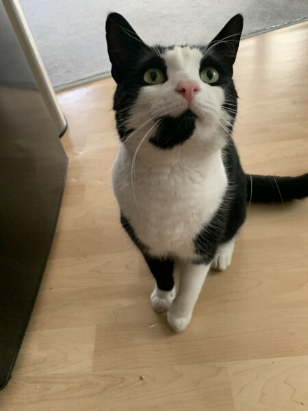 To a life well spent – RIP Cap'n V