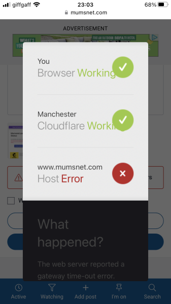 Pages taking an age to load - anyone else?