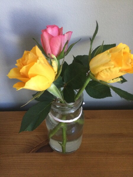 Brexit mega thread part 8: platinum jubilee edition 