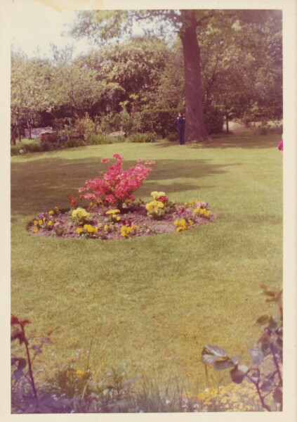 Can anyone identify this 1970s rhododendron?