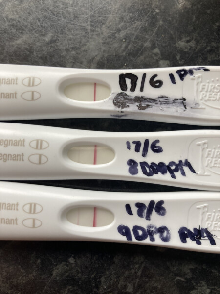 Due Feb/Mar after MC 🌈 🙈